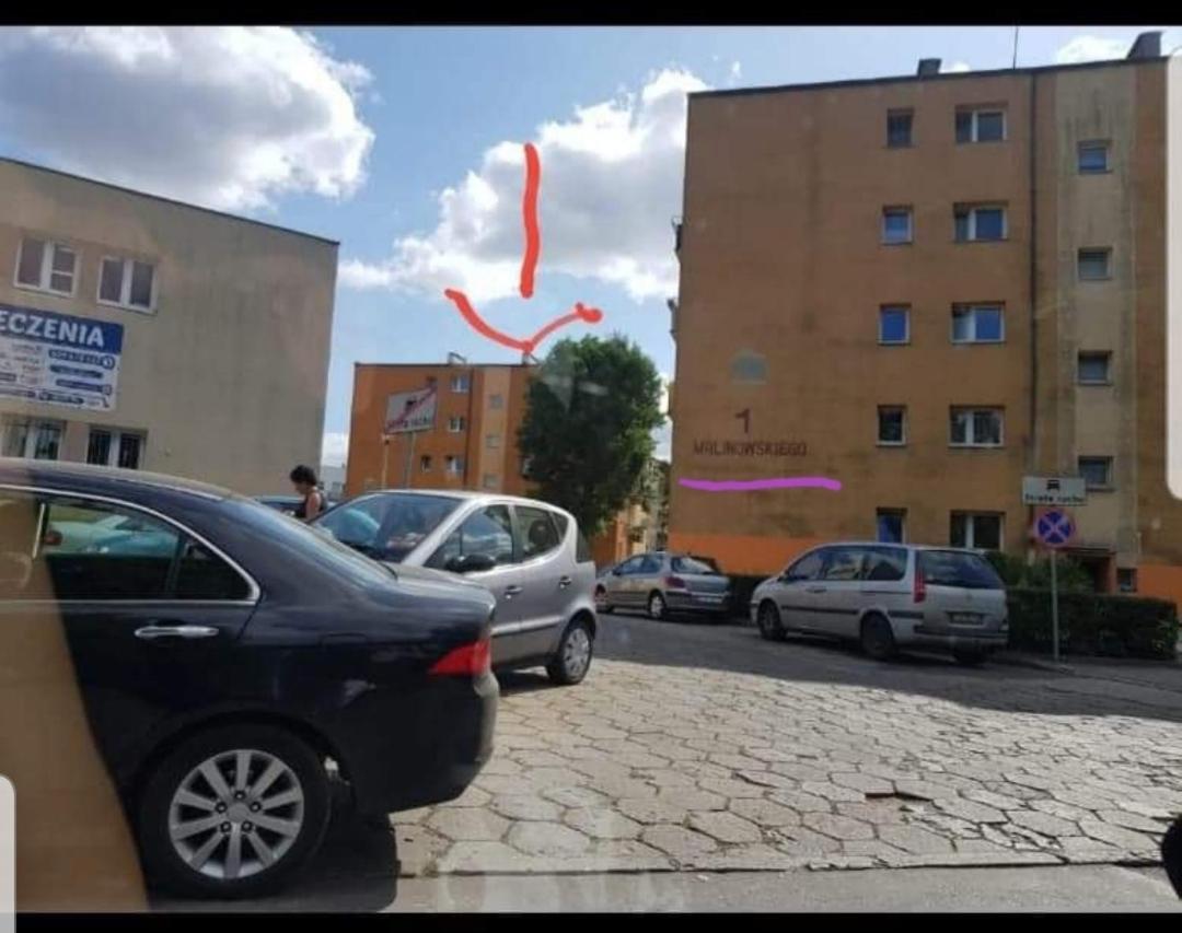 Apartament Modrzewskiego Grudziądz Dış mekan fotoğraf